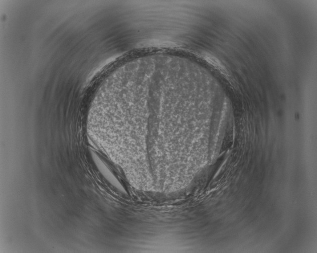 X0000062630872200601181717