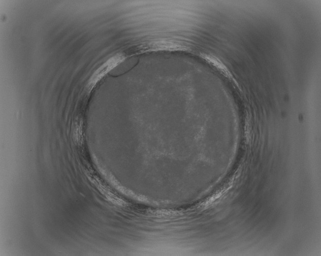 X0000062630873200601181717