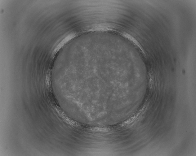 X0000062630874200601181717