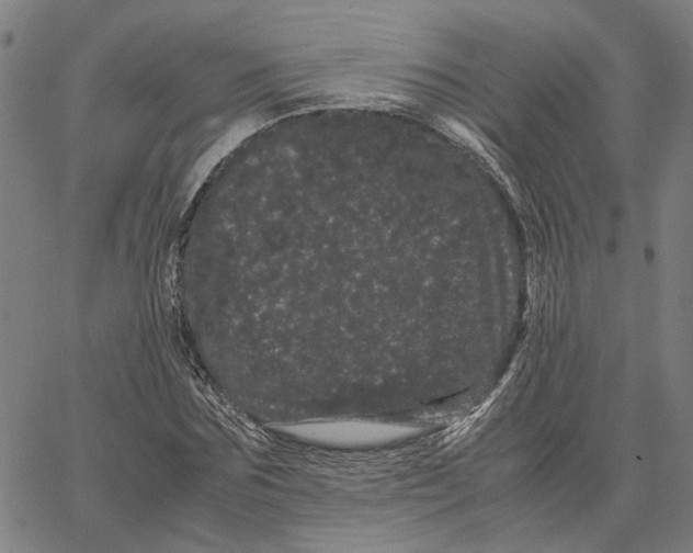 X0000062630875200601181717