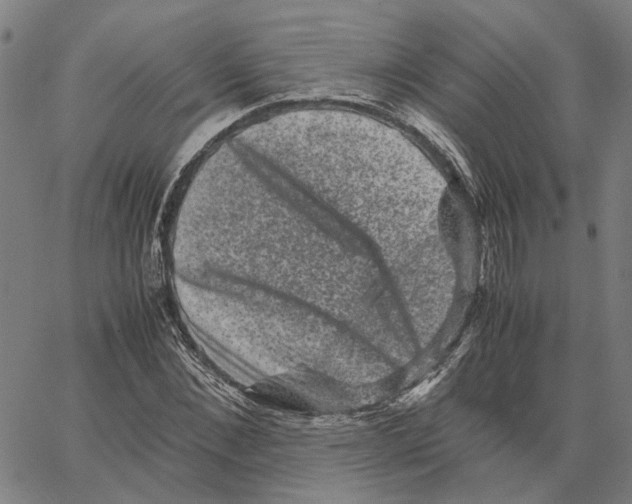 X0000062630876200601181717