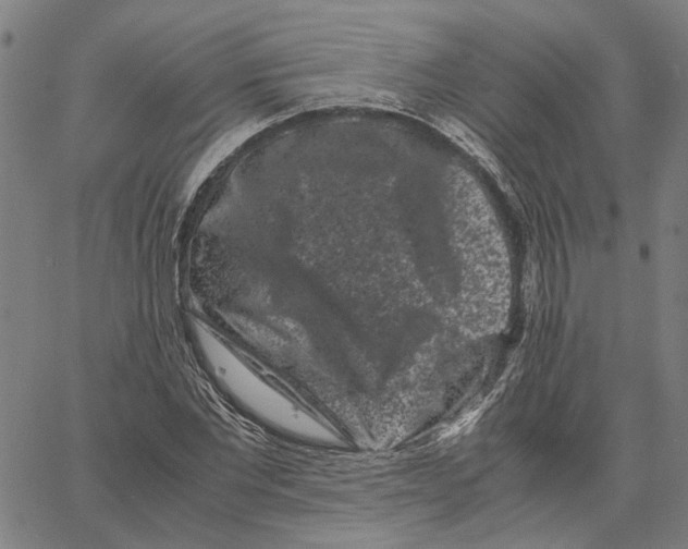 X0000062630877200601181717