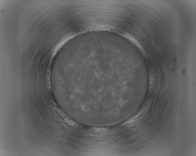 X0000062630878200601181717