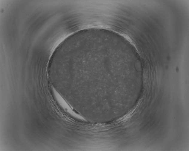 X0000062630879200601181717