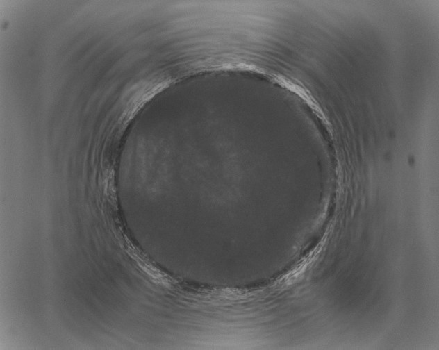 X0000062630881200601181717