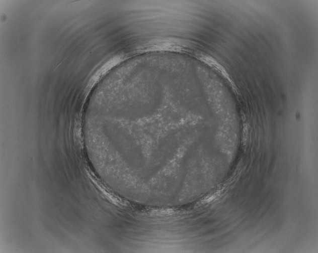 X0000062630882200601181717