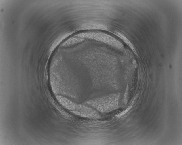 X0000062630885200601181717