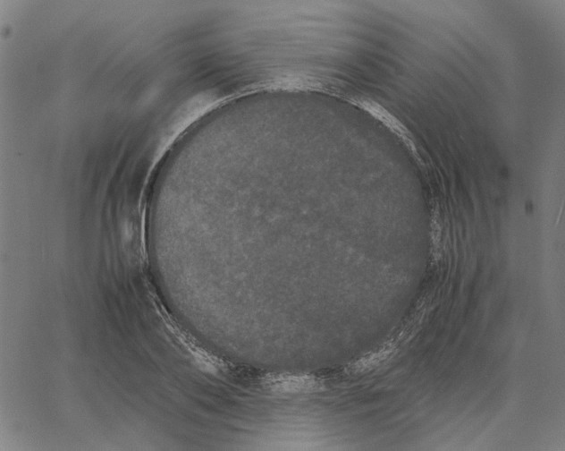 X0000062630886200601181717