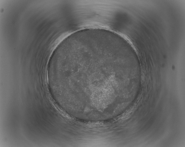 X0000062630887200601181717