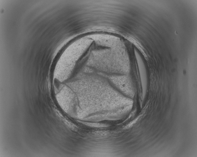 X0000062630888200601181717