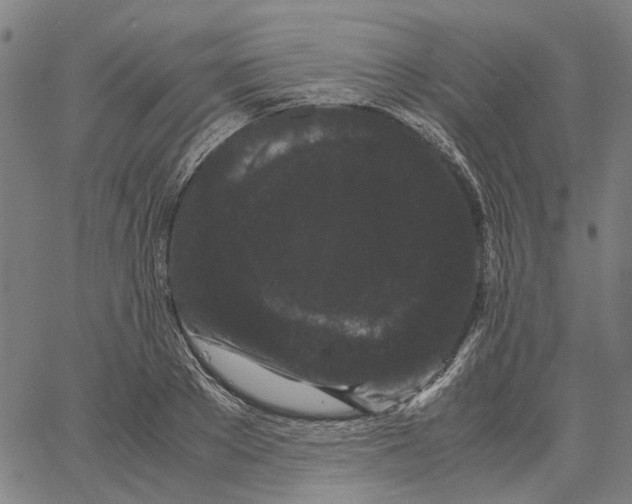 X0000062630889200601181717