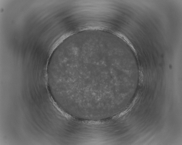 X0000062630890200601181717