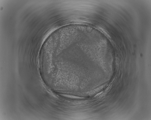 X0000062630891200601181717