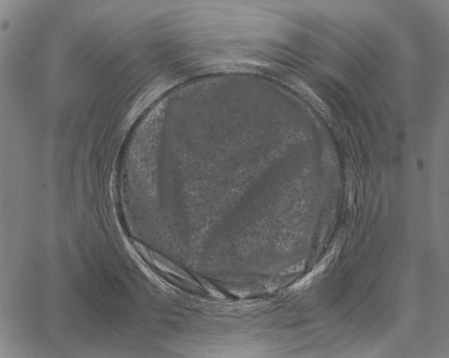 X0000062630893200601181717