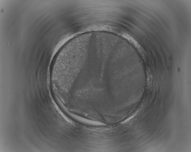 X0000062630894200601181717