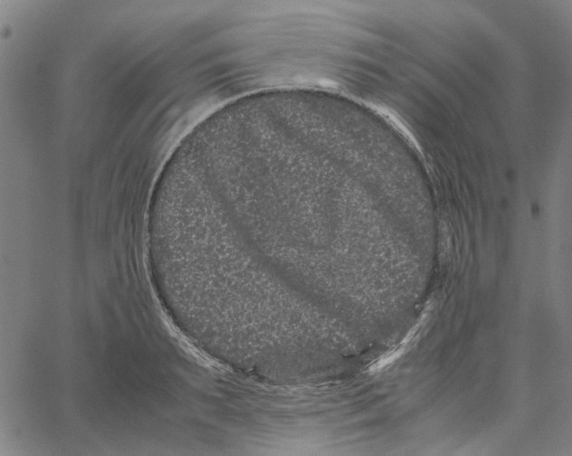 X0000062630895200601181717