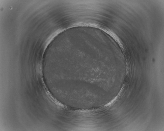 X0000062630896200601181717