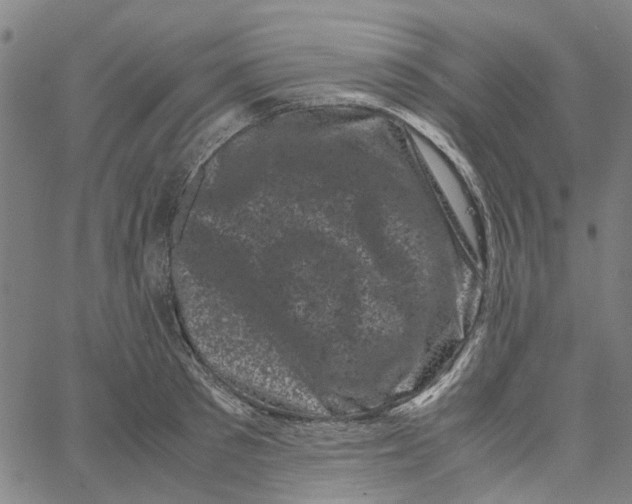 X0000062630897200601181717