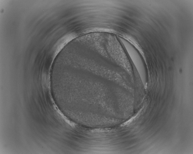 X0000062630898200601181717