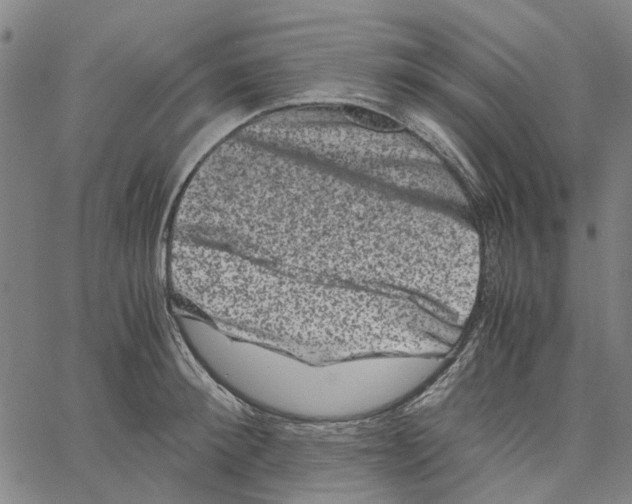 X0000062630900200601181717