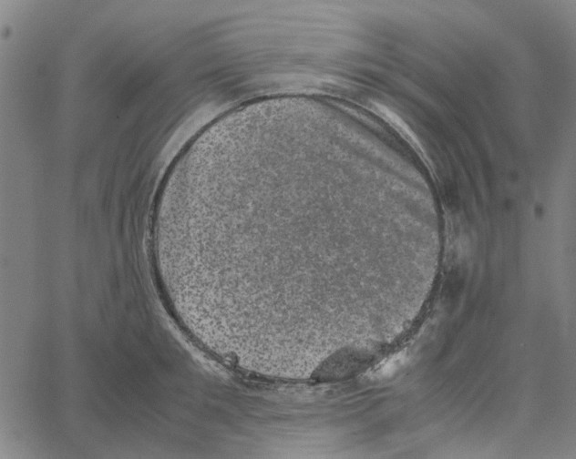 X0000062630901200601181717