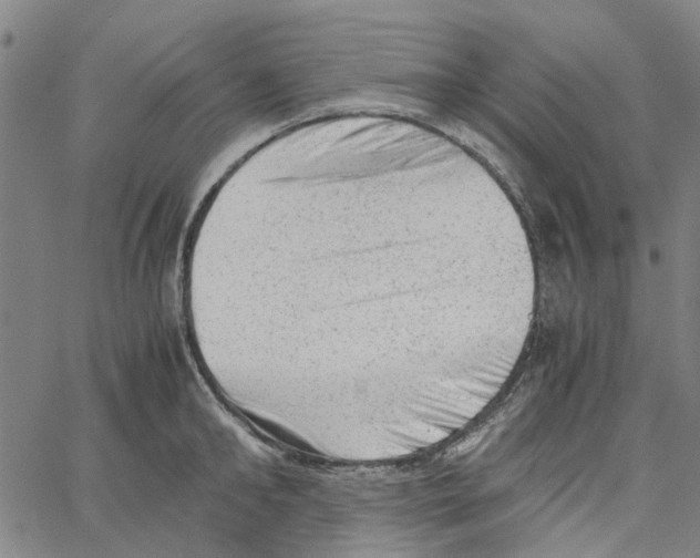 X0000062630902200601181717