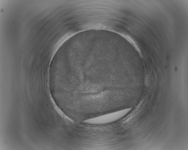 X0000062630903200601181717