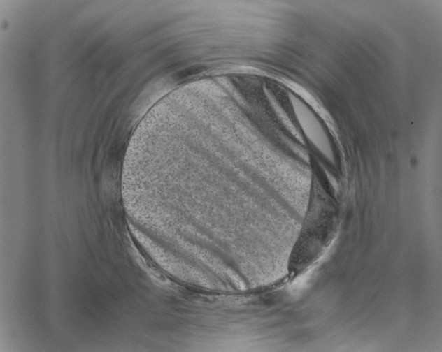 X0000062630905200601181717