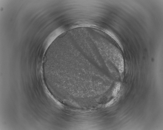 X0000062630906200601181716