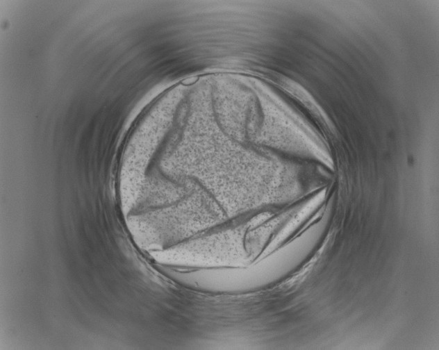 X0000062630908200601181716