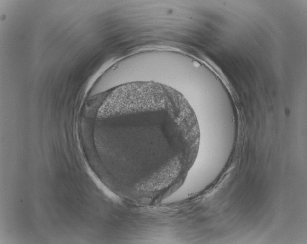 X0000062630909200601181716