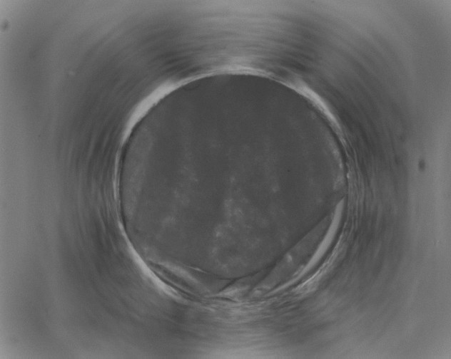 X0000062630910200601181716