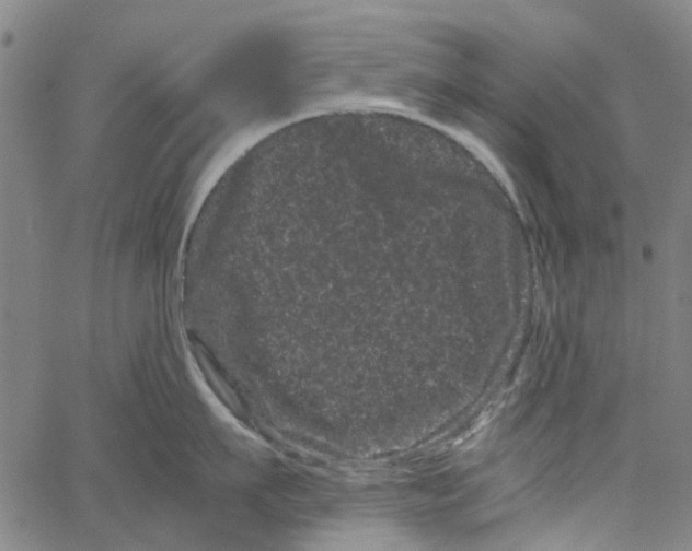 X0000062630911200601181716