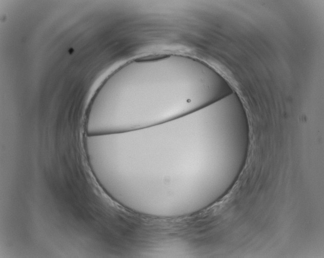 X0000062630912200601181716