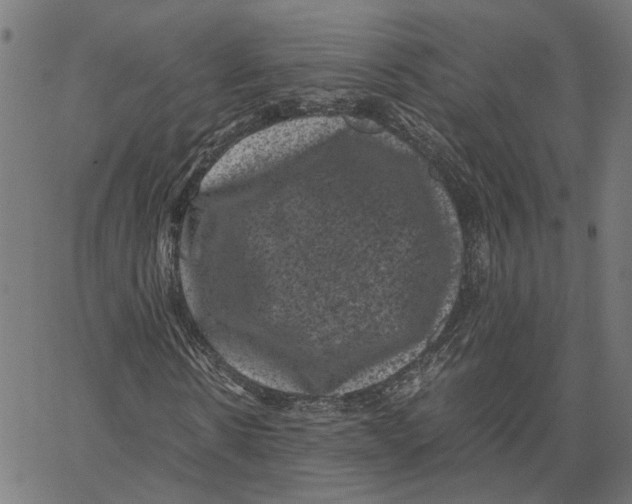 X0000062630914200601181716