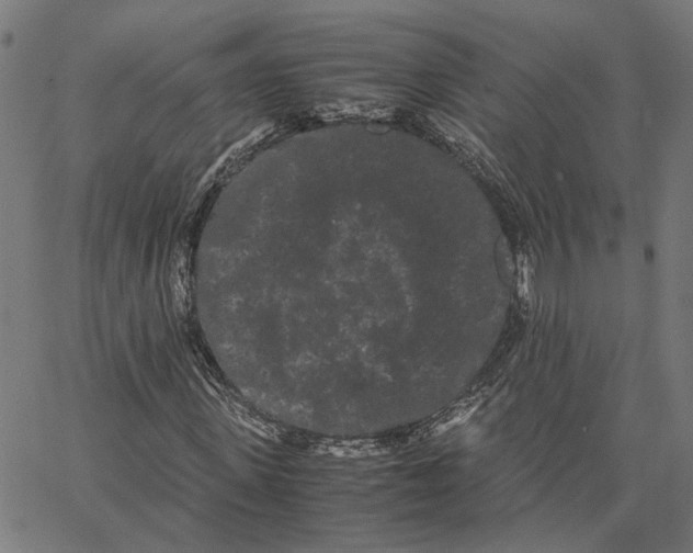 X0000062630915200601181716