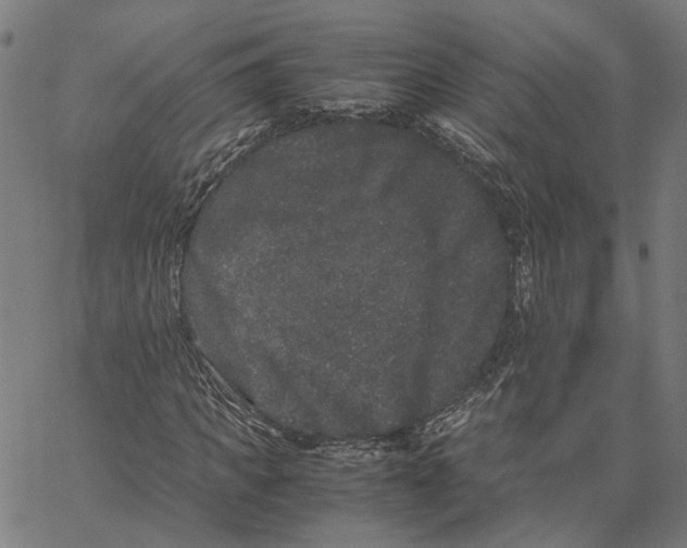 X0000062630917200601181716