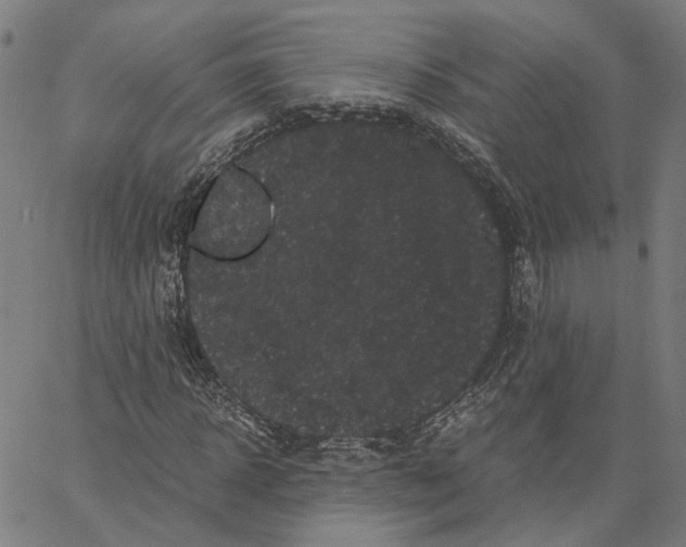 X0000062630918200601181716