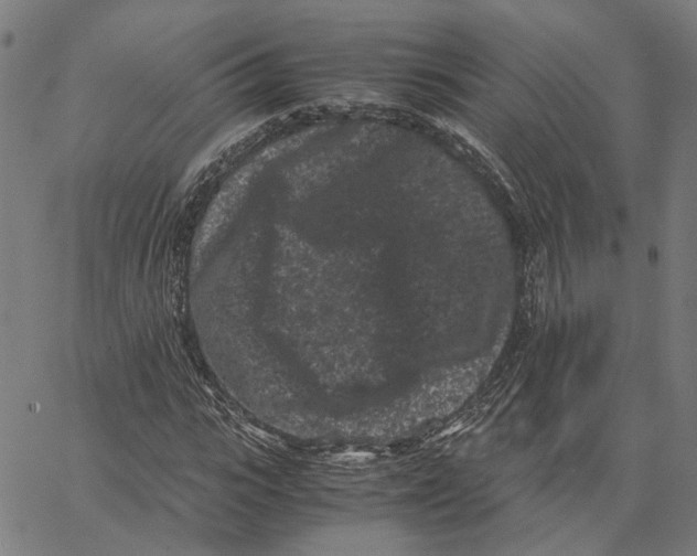 X0000062630919200601181716