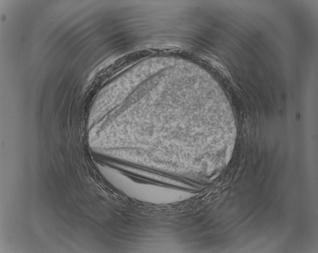 X0000062630920200601181716