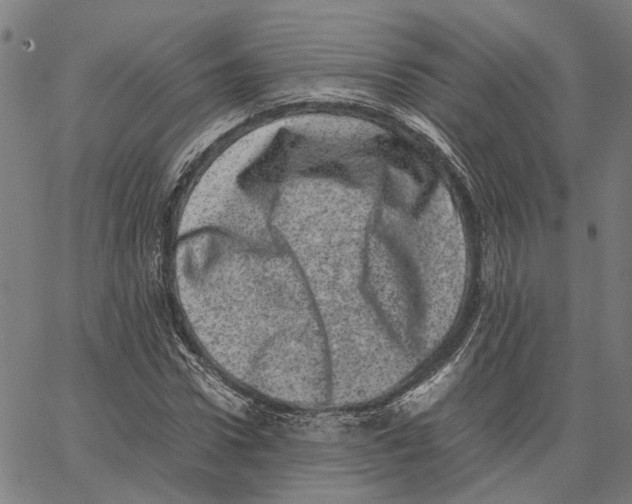 X0000062630922200601181716