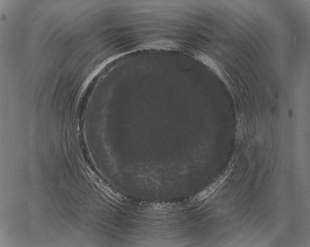 X0000062630923200601181716