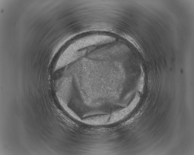 X0000062630926200601181716