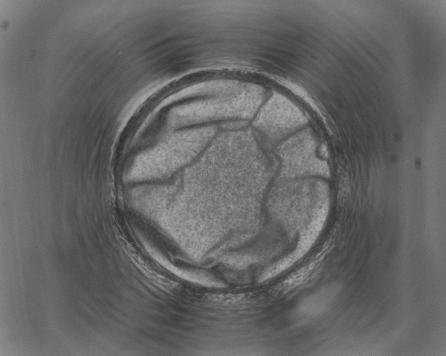 X0000062630927200601181716