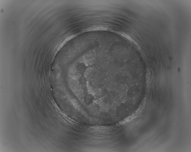 X0000062630929200601181716