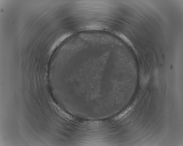 X0000062630930200601181716