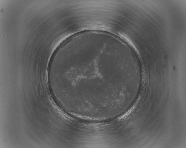 X0000062630932200601181716