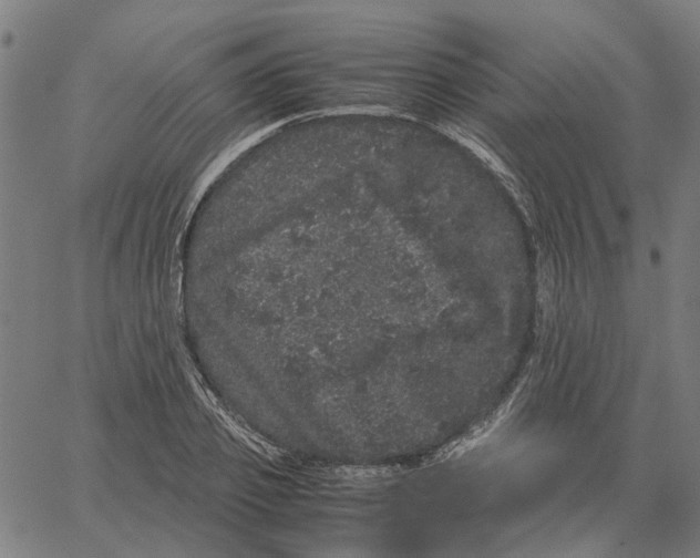 X0000062630933200601181716