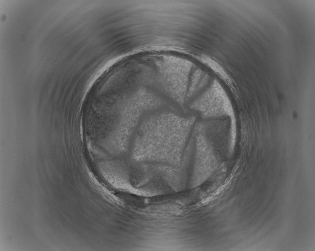 X0000062630934200601181716