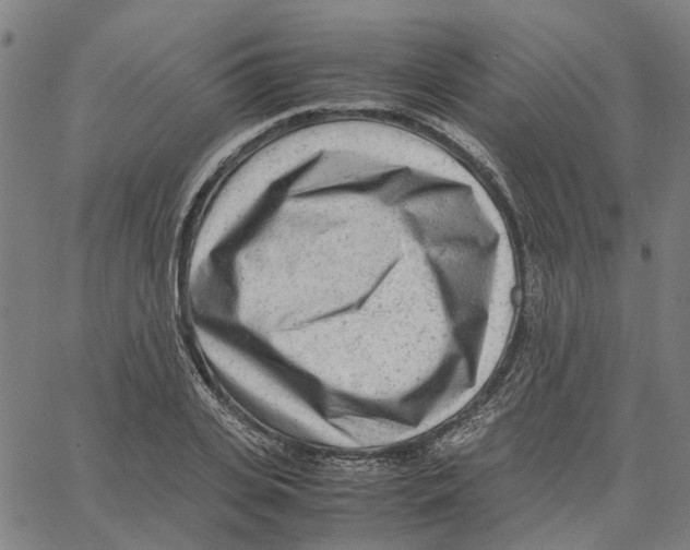 X0000062630935200601181716